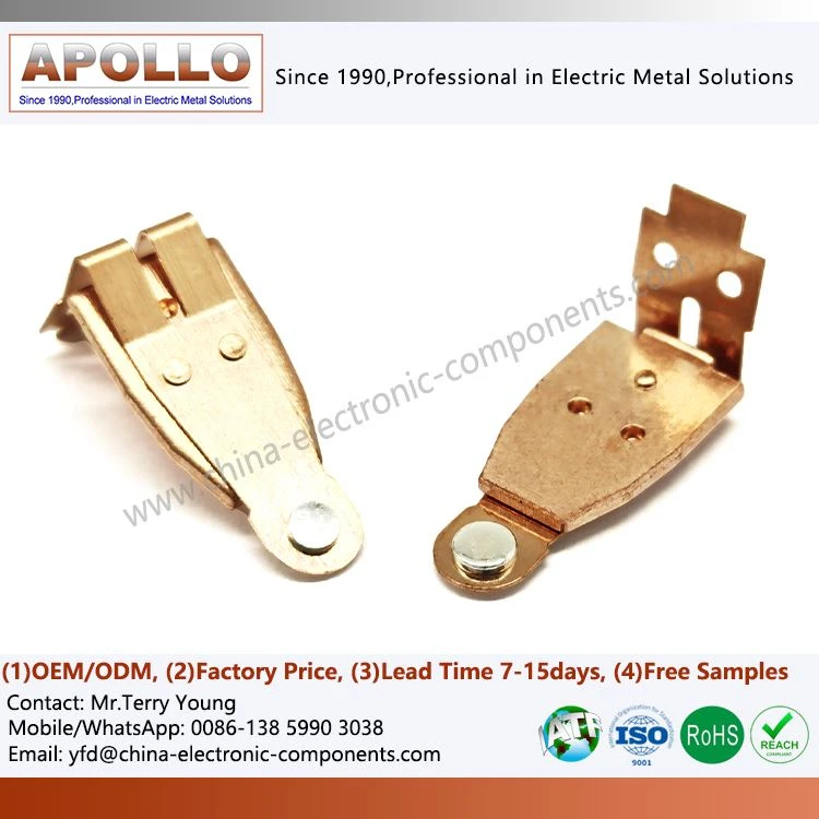 Beryllium Copper Moving Spring