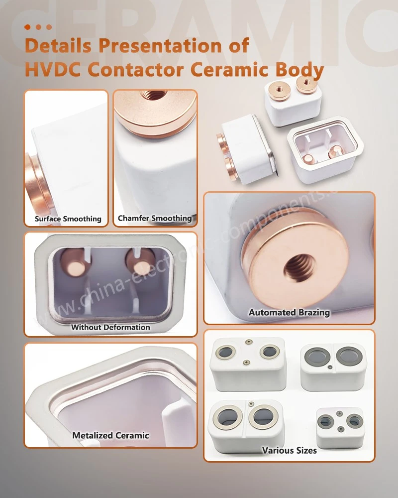 Details Presentation of Ceramic to Metal Body Details Presentation of Ceramic to Metal Body