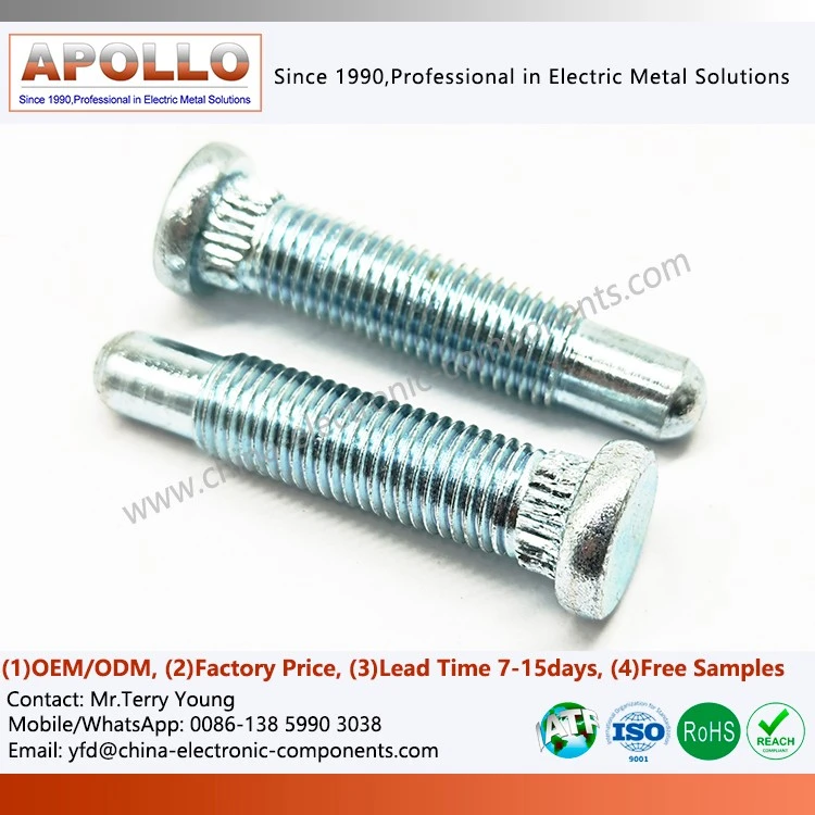 Clinching Screw